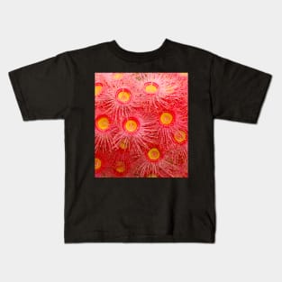 Red Flowering Gum Tree (Eucalyptus phytocarpa) Kids T-Shirt